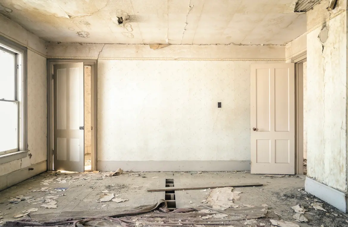 Waste disposal crew managing a cleanout project in Bee Cave